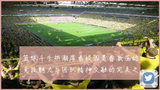 篮球斗牛热潮席卷校园青春激荡的竞技魅力与团队精神交融的完美之战