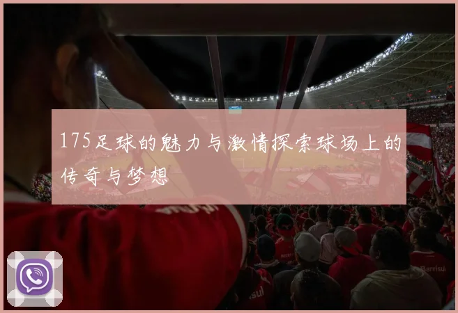 175足球的魅力与激情探索球场上的传奇与梦想