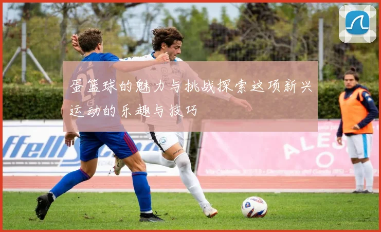 蛋篮球的魅力与挑战探索这项新兴运动的乐趣与技巧