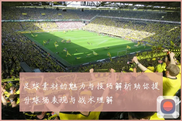 足球素材的魅力与技巧解析助你提升球场表现与战术理解