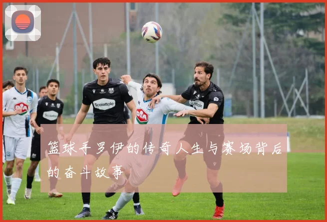 篮球手罗伊的传奇人生与赛场背后的奋斗故事