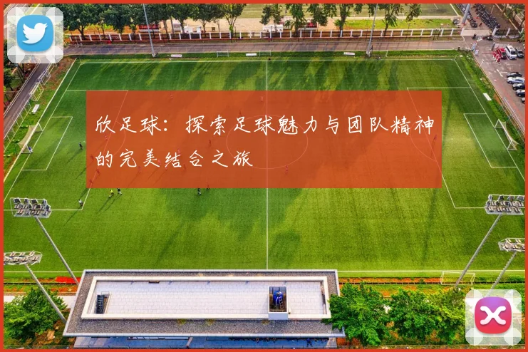 欣足球：探索足球魅力与团队精神的完美结合之旅