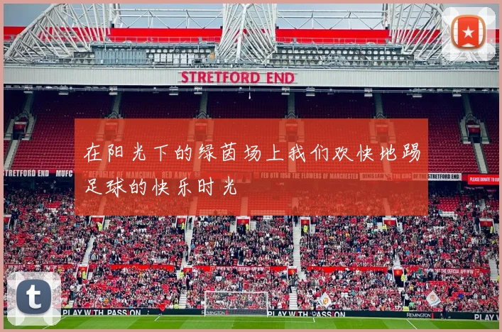 在阳光下的绿茵场上我们欢快地踢足球的快乐时光