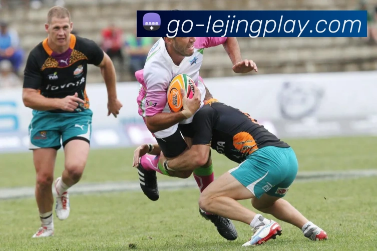 乐竞体育平台生态图