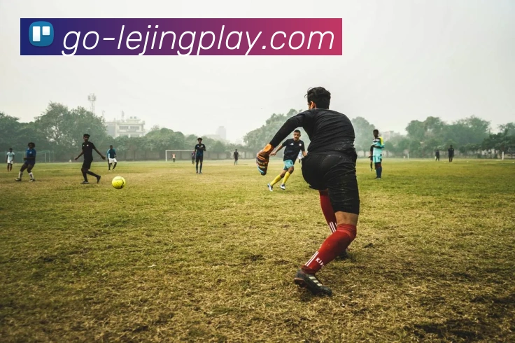 数据防护可视化